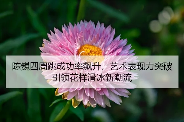 chen-wei-si-zhou-tiao-cheng-gong-lv-biao-sheng-yi-shu-biao-xian-li-tu-po-yin-ling-hua-yang-hua-bing-xin-chao-liu-3-872.jpg
