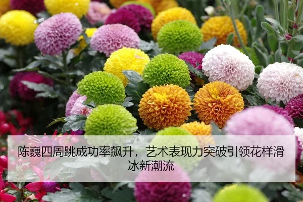 陈巍四周跳成功率飙升，艺术表现力突破引领花样滑冰新潮流