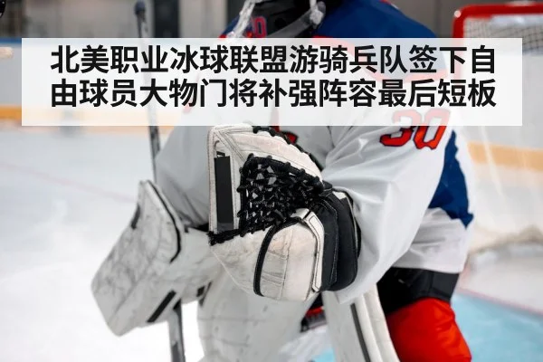 北美职业冰球联盟游骑兵队签下自由球员大物门将补强阵容最后短板