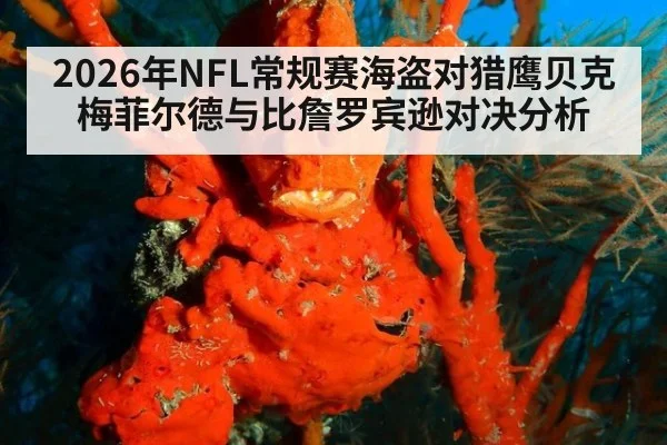 2026年NFL常规赛海盗对猎鹰贝克梅菲尔德与比詹罗宾逊对决分析